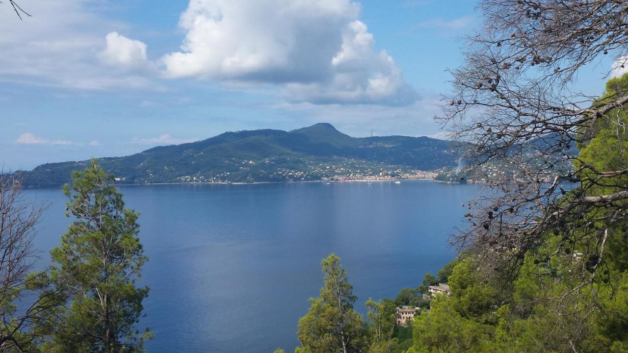 Vicino A Portofino E Alle Cinque Terre - Near Portofino And Cinque Terre Zoagli Εξωτερικό φωτογραφία